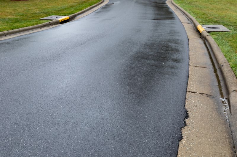 Blacktop Driveway with Curves